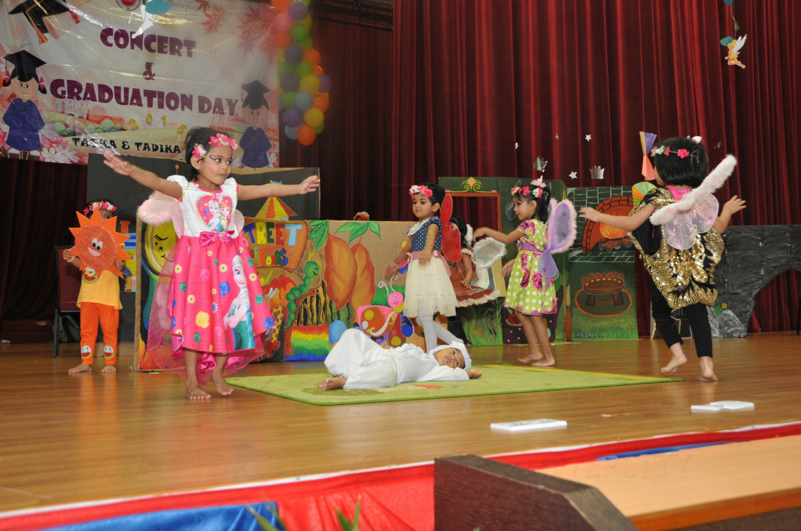 PRO15 163 KONVO HAS 0564